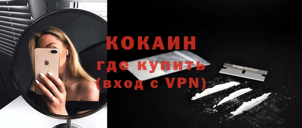 хмурый Абаза